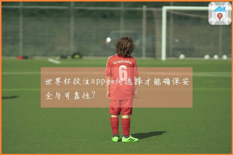 世界杯投注app如何选择才能确保安全与可靠性？