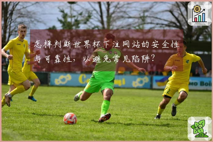 怎样判断世界杯下注网站的安全性与可靠性，以避免常见陷阱？