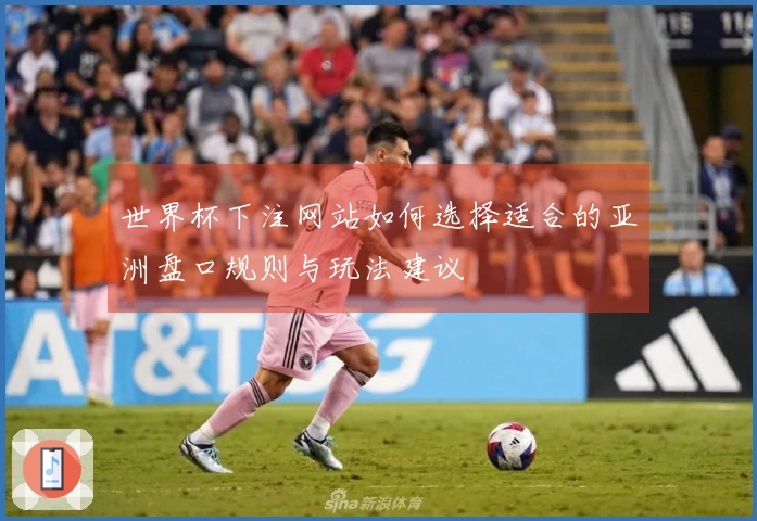世界杯下注网站如何选择适合的亚洲盘口规则与玩法建议