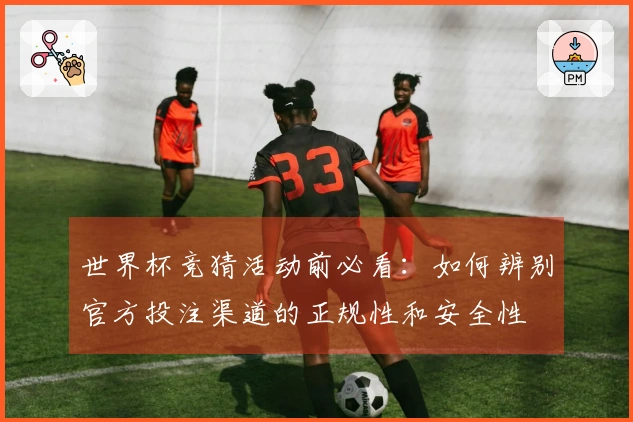 世界杯竞猜活动前必看：如何辨别官方投注渠道的正规性和安全性