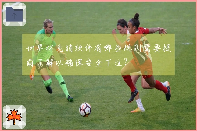 世界杯竞猜软件有哪些规则需要提前了解以确保安全下注？