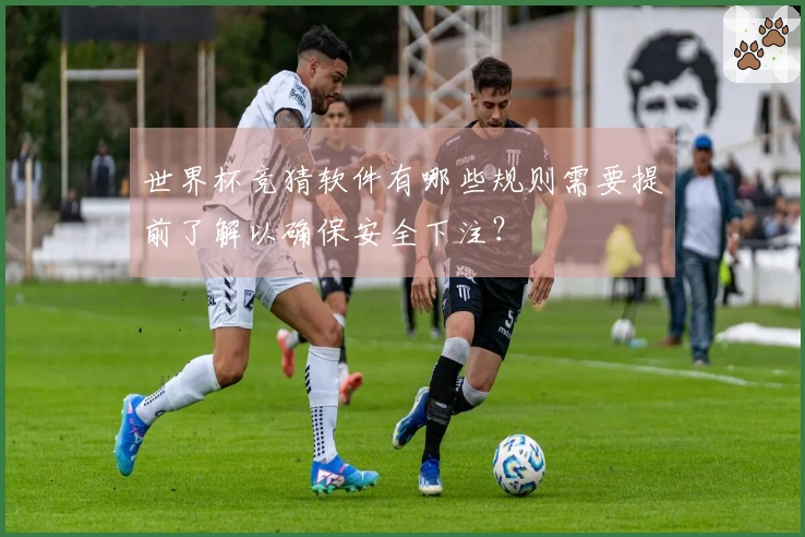 世界杯竞猜软件有哪些规则需要提前了解以确保安全下注？