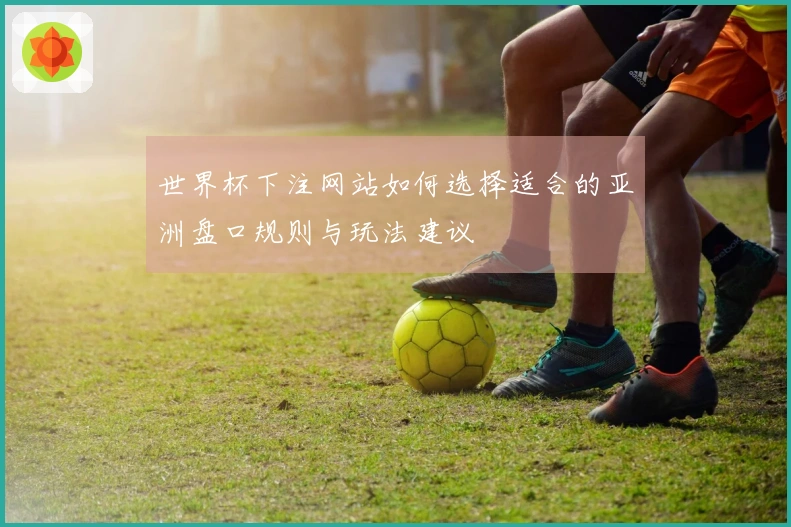世界杯下注网站如何选择适合的亚洲盘口规则与玩法建议