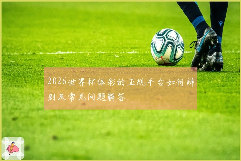 2026世界杯体彩的正规平台如何辨别及常见问题解答